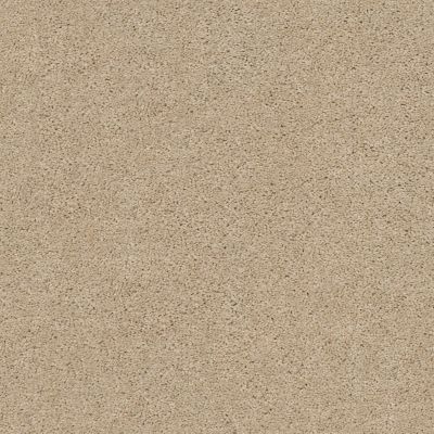 Explorer Lasting Luxury  SHORTCAKE LL_00112_ZZ099
