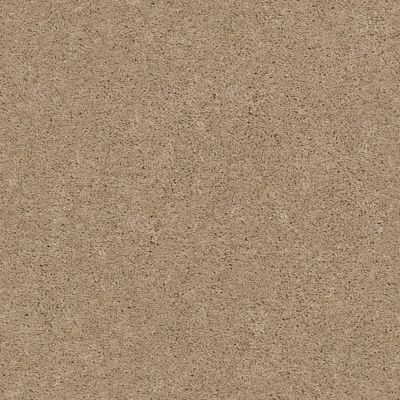Explorer Lasting Luxury  COOKIE DOUGH LL_00114_ZZ099