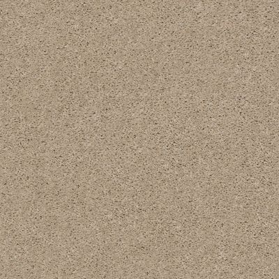 Explorer Lasting Luxury  HAZELNUT CREAM LL_00172_ZZ099