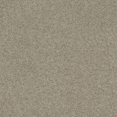 Explorer Lasting Luxury  BRUSHED STEEL LL_00552_ZZ099