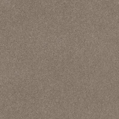 Explorer Lasting Luxury  SMOKEY ASH LL_00574_ZZ099