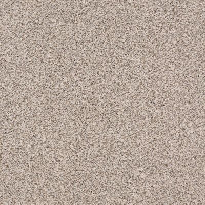 Monarch Lasting Luxury  TIMID TAUPE LL_0574B_ZZ219