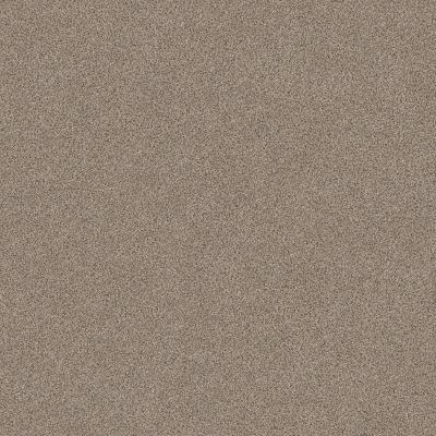 Park Hill Lasting Luxury  CRISP KHAKI LL_0155B_ZZ240