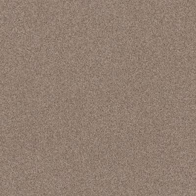 Park Hill Lasting Luxury  TIMBER LL_0757B_ZZ240