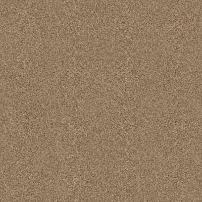 Travertino Too Lasting Luxury  PEANUT SHELL LL_00124_ZZ241