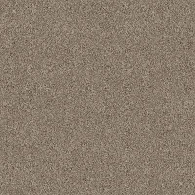Travertino Too Lasting Luxury  WET SAND LL_00725_ZZ241