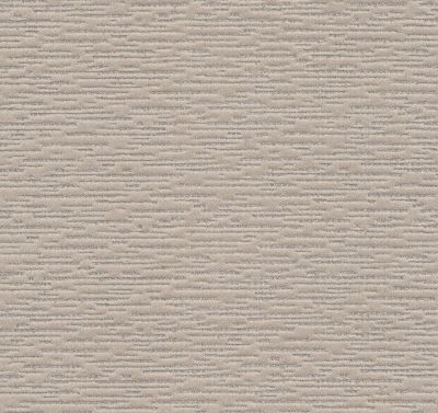 Purrfect Match Lasting Luxury  SMOKEY GRAY LL_00553_ZZ242
