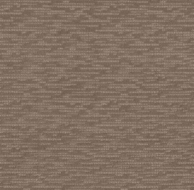 Purrfect Match Lasting Luxury  TREE BARK LL_00716_ZZ242