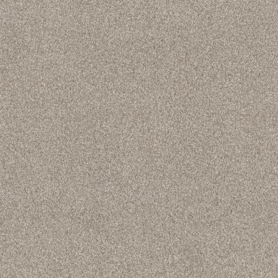 Terra Nova Lasting Luxury  MISTY DAWN LL_00151_ZZ252