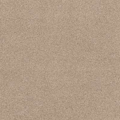 Terra Nova Lasting Luxury  BEACH GRASS LL_00223_ZZ252