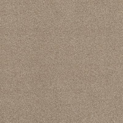 Terra Nova Lasting Luxury  CANVAS LL_00233_ZZ252