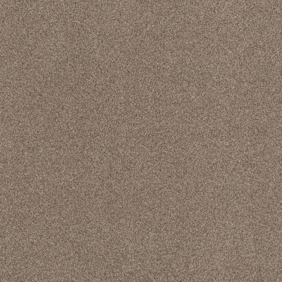 Terra Nova Lasting Luxury  ROASTED LL_00714_ZZ252