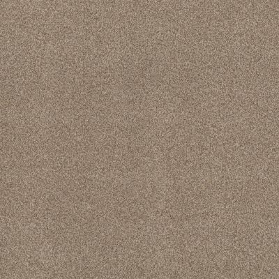 Terra Nova Lasting Luxury  LANDSCAPE LL_00734_ZZ252