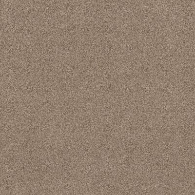 Terra Nova Lasting Luxury  NUTSHELL LL_00764_ZZ252