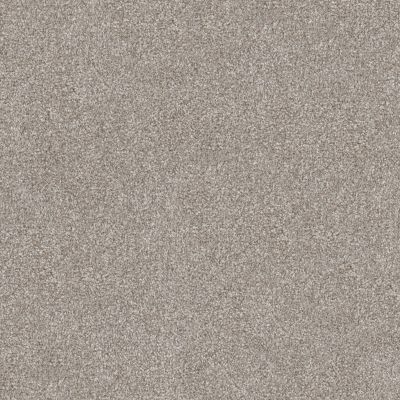 So Suite Lasting Luxury  ALASKAN MIST LL_00511_ZZ256