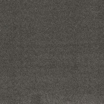 So Suite Lasting Luxury  EARL GREY LL_00575_ZZ256