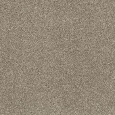 So Suite Lasting Luxury  CRISP KHAKI LL_00732_ZZ256