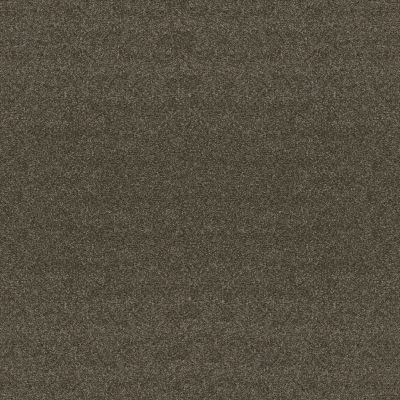 So Suite Lasting Luxury  PINECONE LL_00736_ZZ256