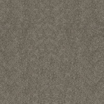So Suite Lasting Luxury  RUSTIC TAUPE LL_00755_ZZ256
