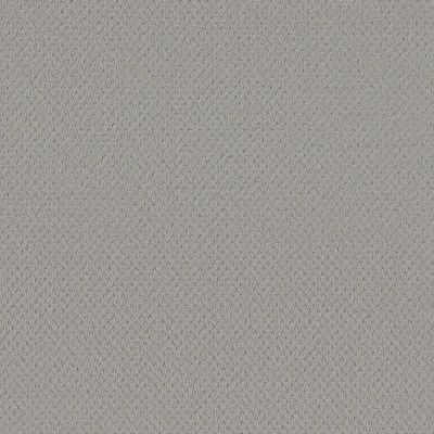 Del Vista Lasting Luxury  SILVER FOX LL_00541_ZZ262
