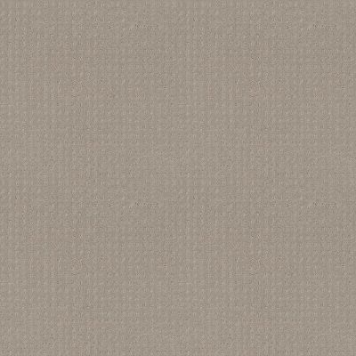 Del Vista Lasting Luxury  PEWTER LL_00558_ZZ262