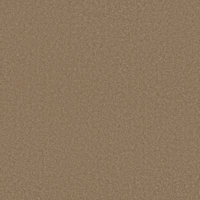 Anderson Tuftex Elegant Beauty Prairie 00727_ZZ269