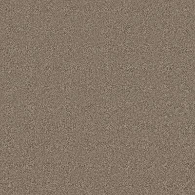 Anderson Tuftex Somerset Chic Taupe 00753_ZZ279