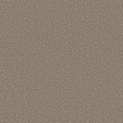 Anderson Tuftex Fabulous Chic Taupe 00753_ZZ280