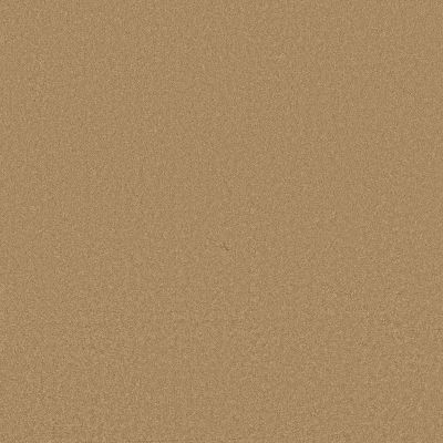 Timeless Charm Lasting Luxury  TOAST LL_00224_ZZ284
