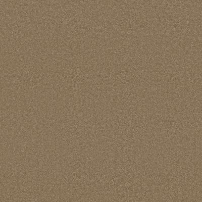 Timeless Charm Lasting Luxury  HAZELNUT LATTE LL_00755_ZZ284