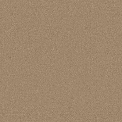Sensational Beauty Lasting Luxury  BISCUIT LL_00174_ZZ285