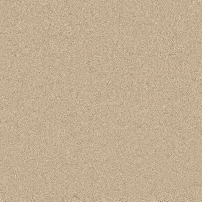 Sensational Beauty Lasting Luxury  SCROLL LL_00222_ZZ285