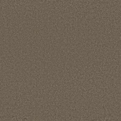 Sensational Beauty Lasting Luxury  GLIMMER LL_00578_ZZ285