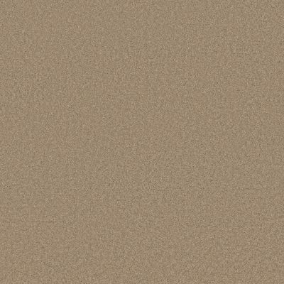 Sensational Beauty Lasting Luxury  TAWNY LL_00724_ZZ285
