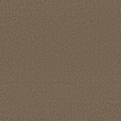 Sensational Beauty Lasting Luxury  CAPPUCCINO LL_00758_ZZ285