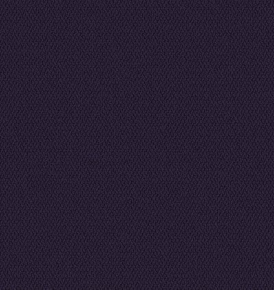 Aladdin Commercial Color Pop 12×36 Passion Purple 2B136-483
