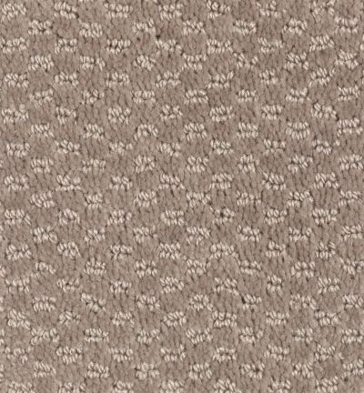 Mohawk Seven Springs Taupe Treasure 2F28-859