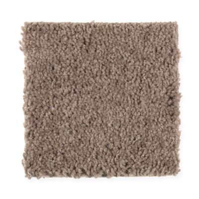 Mohawk Smartstrand Natural Decoration Dried Peat 2G47-858