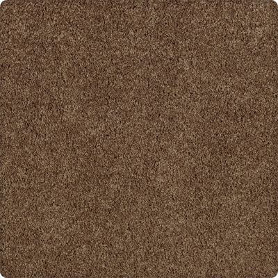 Karastan Smartstrand Redford Heights Raw Sienna 2J38-9898