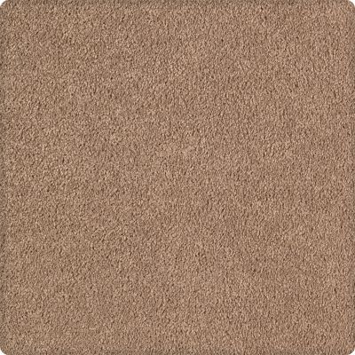 Karastan Kashmere Soothing Obsession Tempting Taupe 2K75-9839