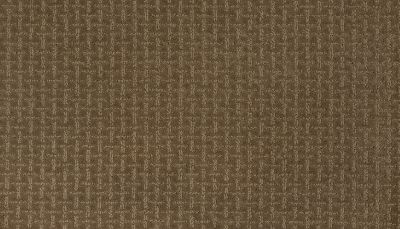 Mohawk Smartstrand Lasting Appearance Hawaiian Tan 2L61-781