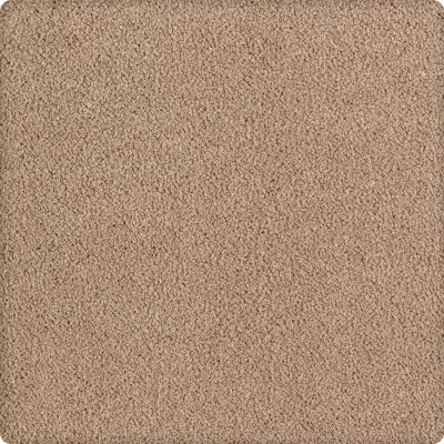 Karastan Lavish Affair Easily Suede 2M05-9831