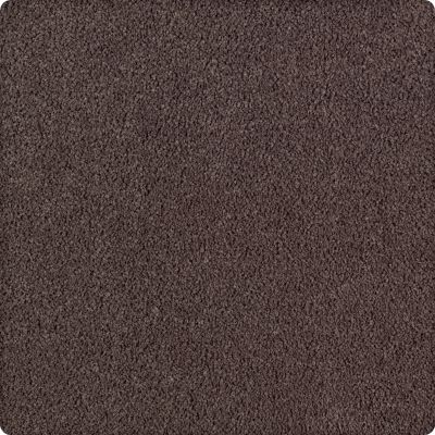 Karastan Lavish Affair Antigua Brown 2M05-9879