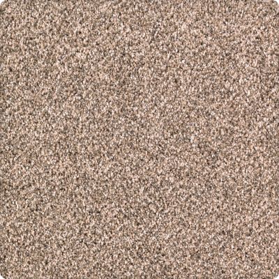 Karastan Smartstrand Pure Distinction Whole Grain 2M82-9767