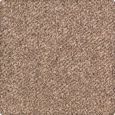 Karastan Smartstrand Pure Distinction Allspice 2M82-9771