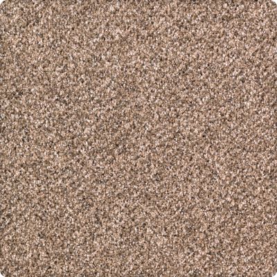 Karastan Smartstrand Pure Distinction Hazelnut 2M82-9777