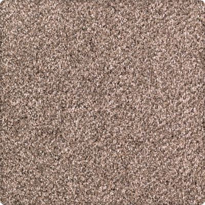 Karastan Smartstrand Pure Distinction Winter Bark 2M82-9786