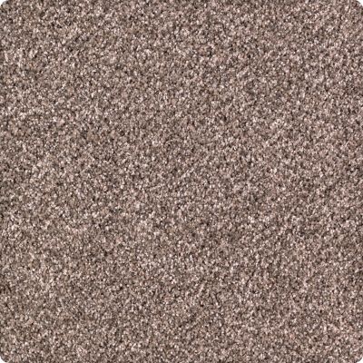 Karastan Smartstrand Pure Distinction Mineral Brown 2M82-9789