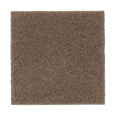 Mohawk Smartstrand Silk Nature’s Charm I Rich Earth 2N32-516
