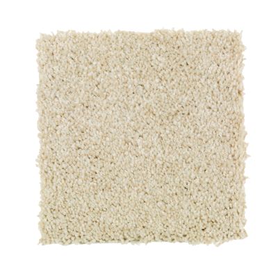 Mohawk Neutral Shades II Crumb Cookie 2N89-736